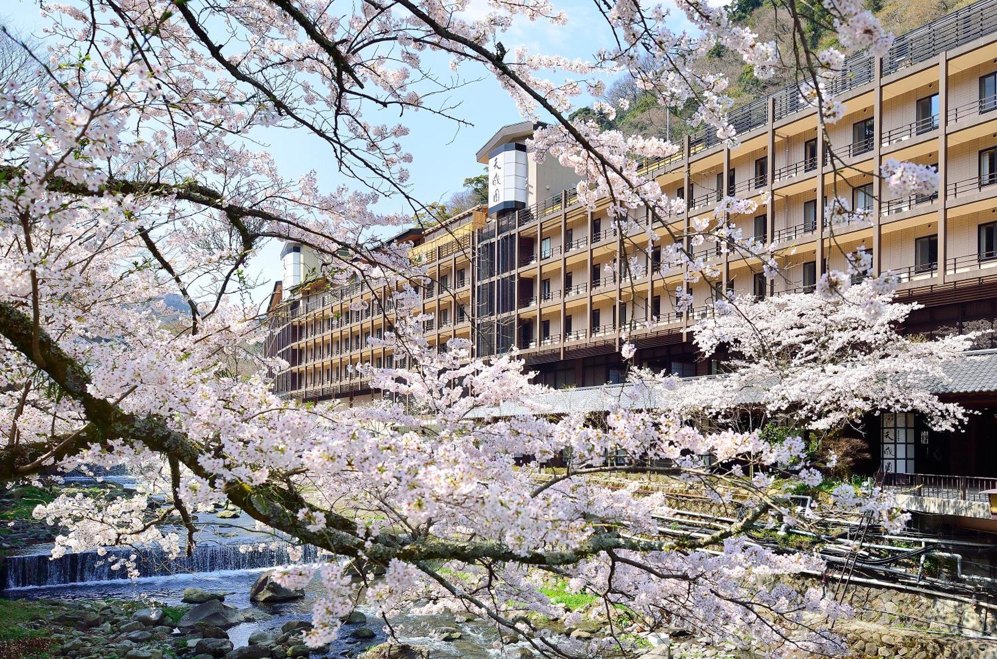 Tenseien Hakone Dış mekan fotoğraf